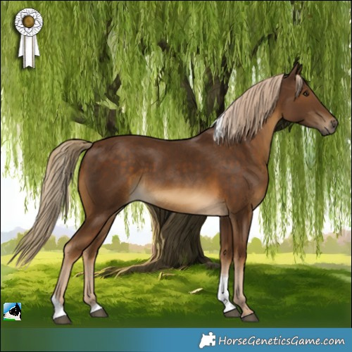 Horse Color:Chocolate Palomino Tobiano 