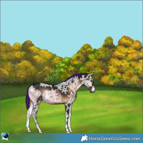 Horse Color:Gray Painted Brown Ice Onyx Rabicano 