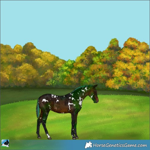 Horse Color:Painted White Spotted Brown Ice 