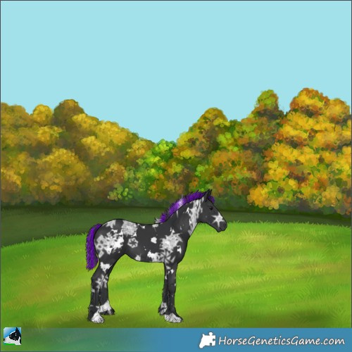 Horse Color:Painted White Spotted Black Ice 