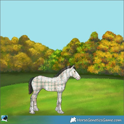 Horse Color:Plaid  White Spotted Sable Champagne Ice Dun Sabino 