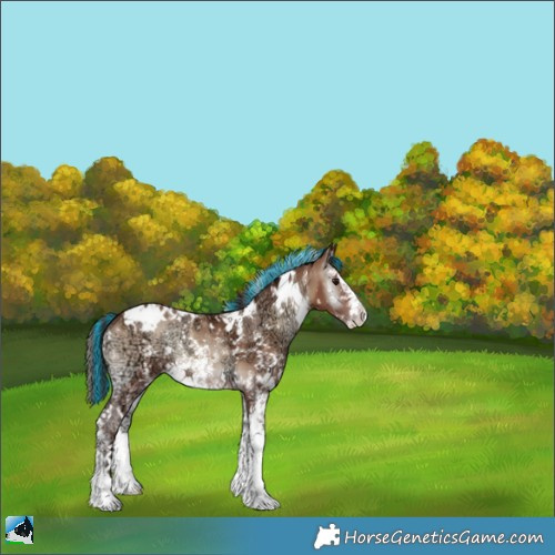 Horse Color:Painted White Spotted Sable Champagne Ice Onyx Sabino 