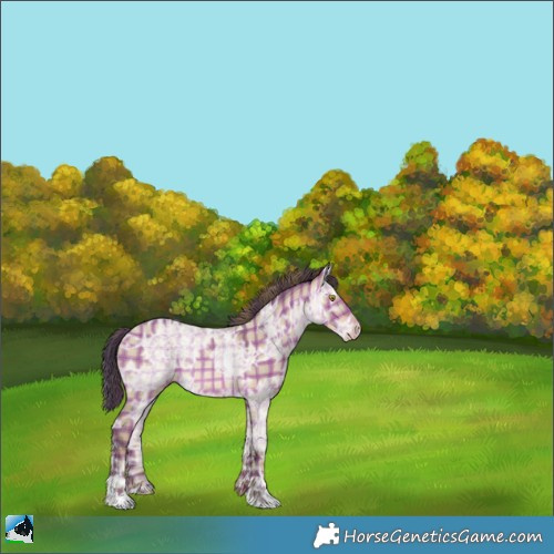 Horse Color:Plaid  Sable Champagne Ice Dun Rabicano 