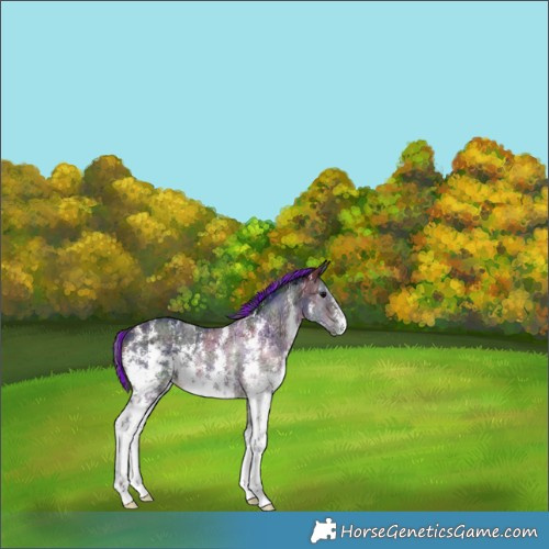 Horse Color:Painted Nacre Brown Ice Sabino 