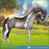 Horse Color:Gray Bay Tobiano Rabicano 