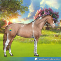 Horse Color:Brown Pearl Tobiano Appaloosa Rabicano