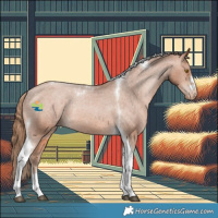 Horse Color:Brown Pearl Tobiano Appaloosa Rabicano 