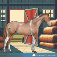 Horse Color:Brown Pearl Tobiano Appaloosa Rabicano 