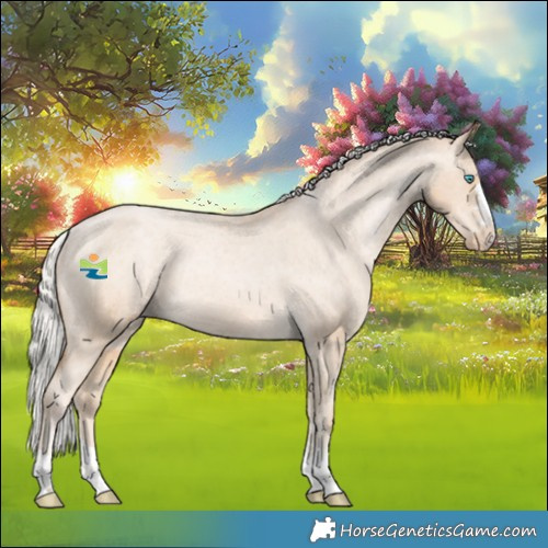 Horse Color:Silver Smoky Black Pearl Appaloosa Rabicano 
