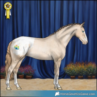 Horse Color:Smoky Black Pearl Appaloosa Rabicano 