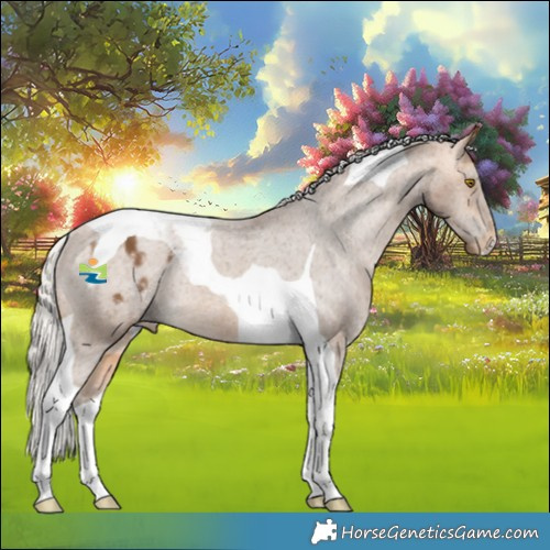 Horse Color:Silver Buckskin Tobiano Varnish Rabicano 