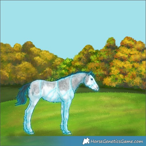 Horse Color:Thunderstruck Blue Roan Splash 
