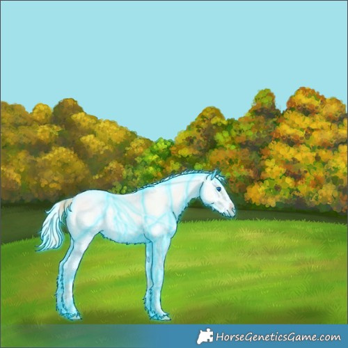 Horse Color:Thunderstruck Perlino Roan Dun Splash Rabicano 