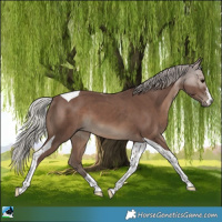 Horse Color:Silver Black Tobiano 
