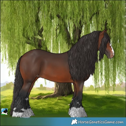 Horse Color:Brown Varnish 