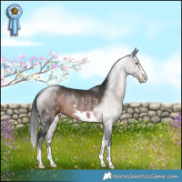 Horse Color:Brown Rabicano 