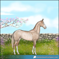 Horse Color:Liver Red Dun Pearl Rabicano Brindle 