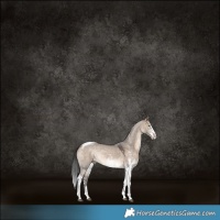 Horse Color:Brown Dun Sabino Tobiano