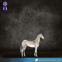 Horse Color:Brown Dun Sabino Tobiano