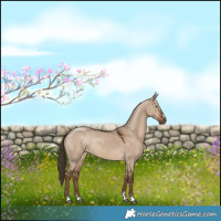 Horse Color:Liver Red Dun 