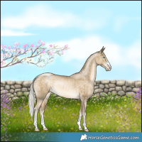 Horse Color:Silver Buckskin Pearl Rabicano 
