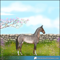 Horse Color:Liver Red Roan Rabicano 