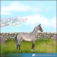 Horse Color:Brown Roan Rabicano 
