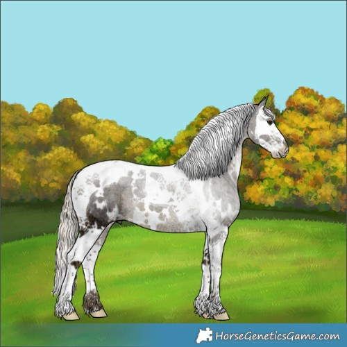 Horse Color:White Spotted Silver Buckskin Ice Splash Tobiano 