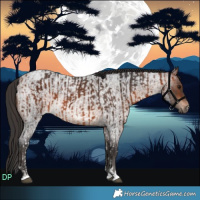 Horse Color:Bay Tobiano  and Brown Roan 