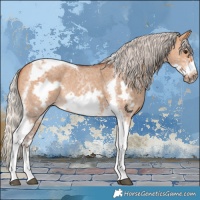 Horse Color:Silver Bay Dun Sabino Tobiano Frame Rabicano 