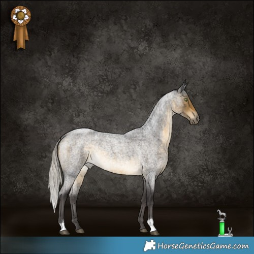 Horse Color:Silver Buckskin Roan Rabicano 