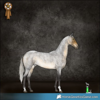 Horse Color:Silver Buckskin Roan Rabicano