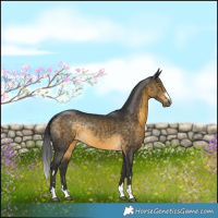 Horse Color:Buckskin Rabicano 