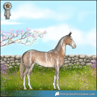 Horse Color:Chocolate Palomino Sabino Rabicano 