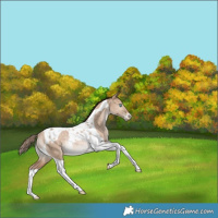 Horse Color:Brown Pearl Dun Tobiano Snowflake Varnish Rabicano 