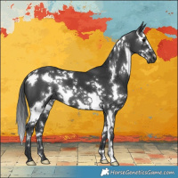Horse Color:White Spotted Black Splash 