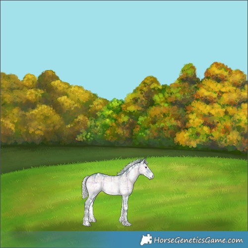 Horse Color:Watercolor Plaid  White Spotted Silver Brown Chinchilla Ice Onyx 