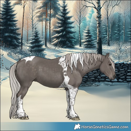 Horse Color:Silver Black Tobiano