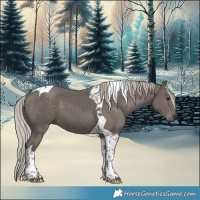 Horse Color:Silver Black Tobiano 