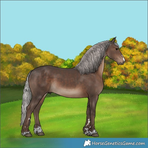 Horse Color:Silver Black