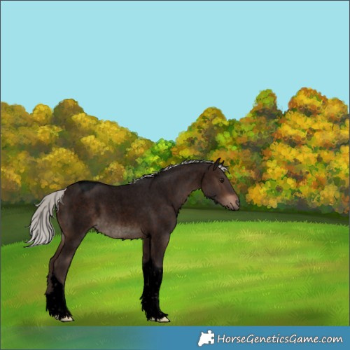 Horse Color:Void Silver Brown Roan Tobiano Rabicano 