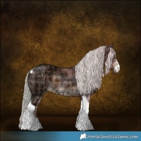 Horse Color:Plaid Silver Brown Ice Sabino Tobiano