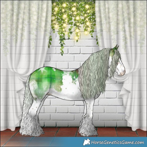 Horse Color:Plaid  White Spotted Silver Brown Ice Sabino Splash 