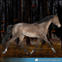 Horse Color:White Spotted Brown Dun Tobiano Varnish Rabicano 