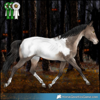 Horse Color:Brown Dun Tobiano Snowcap Rabicano 