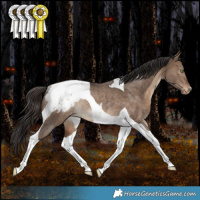 Horse Color:Brown Dun Tobiano Snowcap Rabicano 