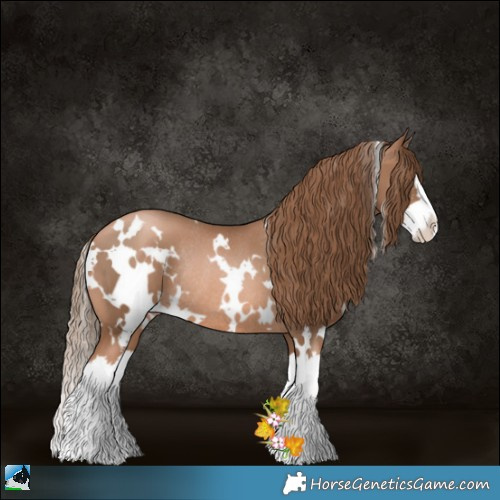 Horse Color:White Spotted Liver Chestnut Pearl Sabino Splash Rabicano