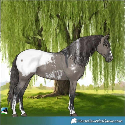 Horse Color:Powder White Grullo Snowcap 