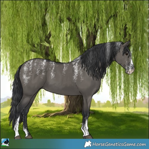 Horse Color:Powder White Grullo 