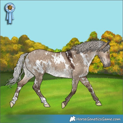 Horse Color:White Spotted Silver Brown Dun 